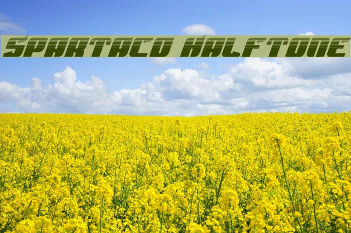 Spartaco Halftone Font examples