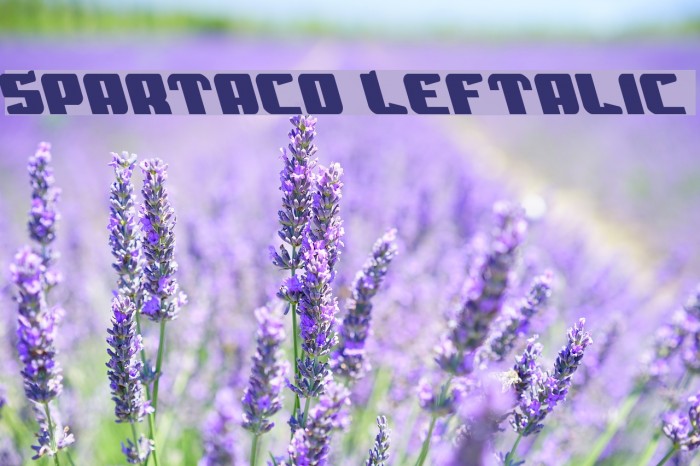 Spartaco Leftalic Font examples