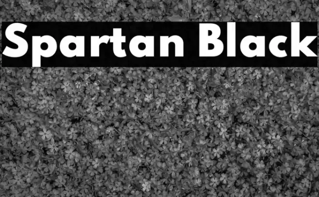 Spartan Black Font examples