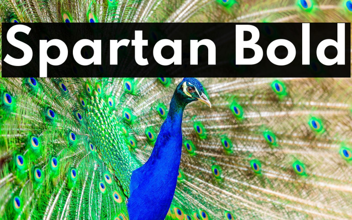 Spartan Bold Font examples