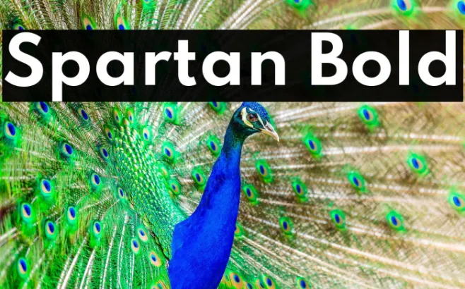 Spartan Bold Example 1