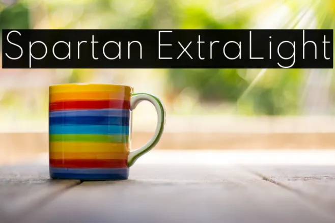 Spartan ExtraLight Example 1