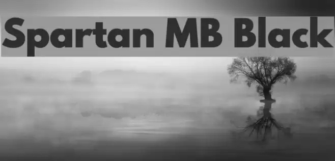 Spartan MB Black Font examples