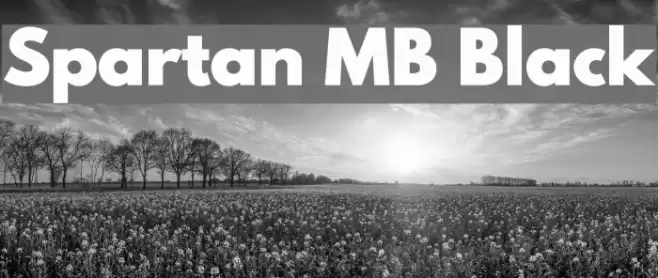 Spartan MB Black Font examples