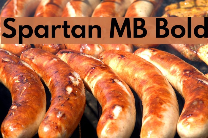 Spartan MB Bold Font examples
