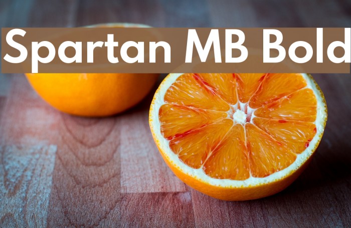 Spartan MB Bold Font examples