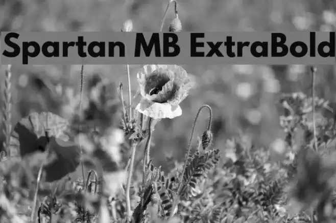 Spartan MB ExtraBold Font examples