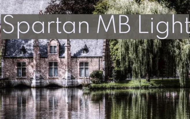Spartan MB Light Example 1