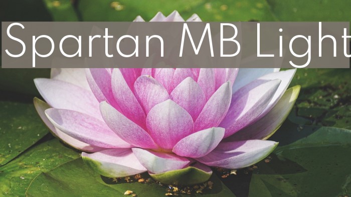 Spartan MB Light Font examples