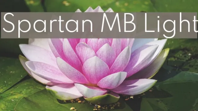 Spartan MB Light Example 2