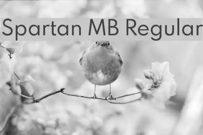 Spartan MB Regular Font examples