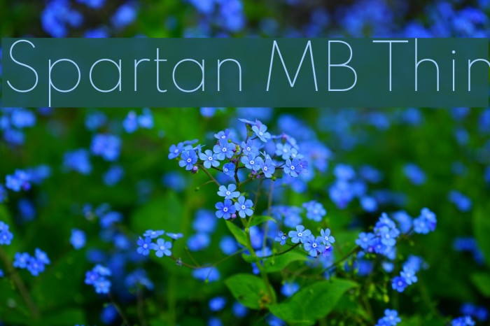 Spartan MB Thin Font examples