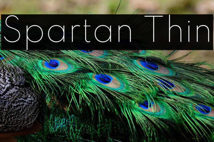 Spartan Thin Font examples