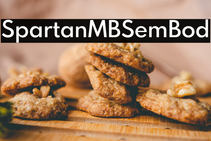SpartanMB-SemiBold Example 2
