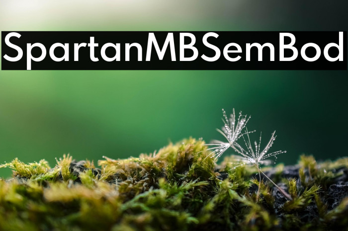 SpartanMB-SemiBold Example 3