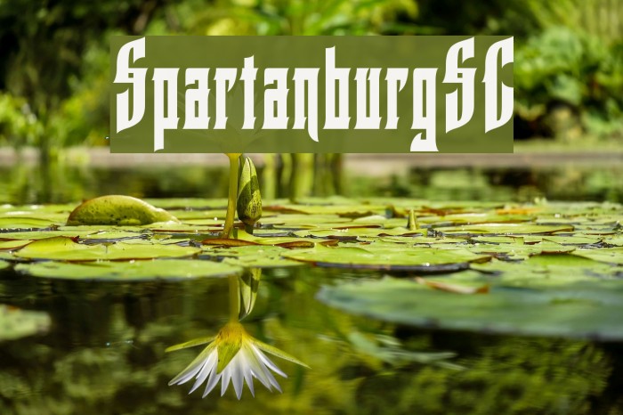 SpartanburgSC Example 3