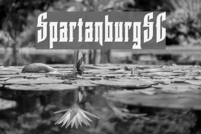 SpartanburgSC Font examples
