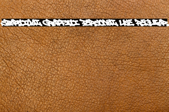 Spartical Graffiti PERSONAL USE Regular Example 2