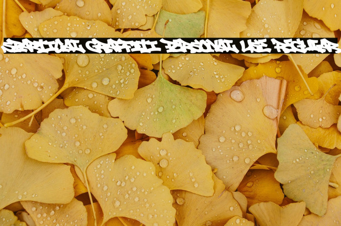 Spartical Graffiti PERSONAL USE Regular Example 3