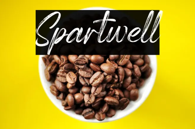 Spartwell Example 2