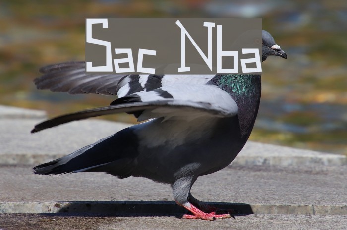 Spastic Nerfbag Font examples