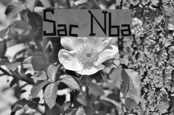 Spastic Nerfbag Font examples