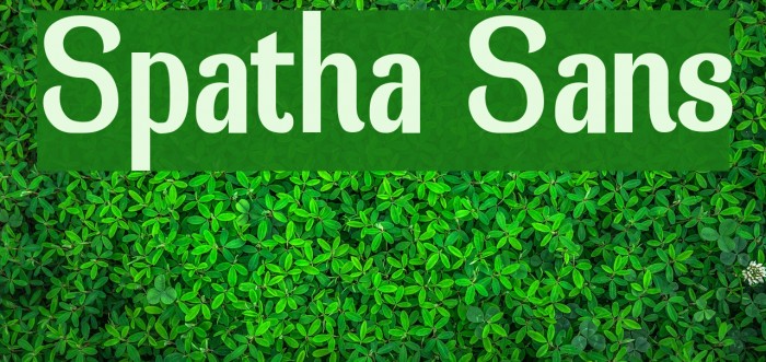 Spatha Sans Example 2