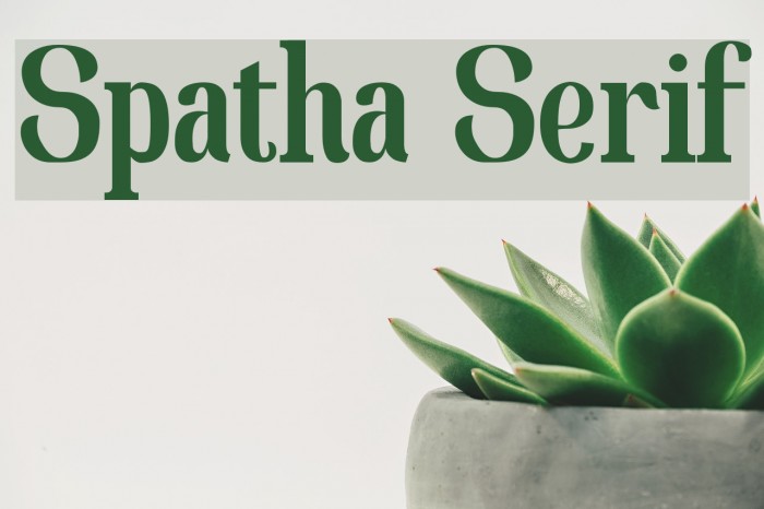 Spatha Serif Polices examples