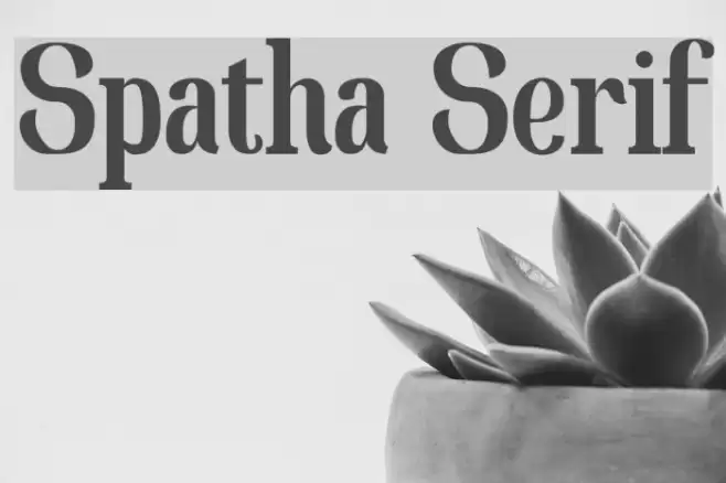 Spatha Serif Font examples