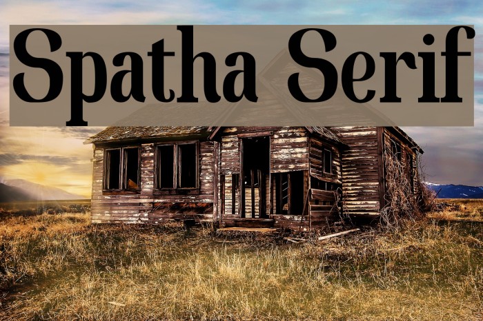 Spatha Serif Polices examples