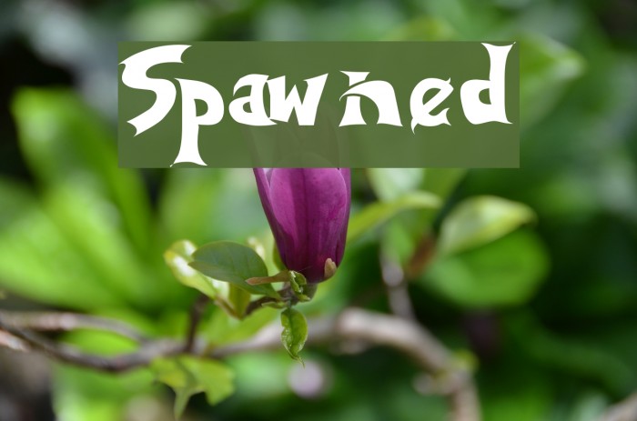 Spawned Caratteri examples