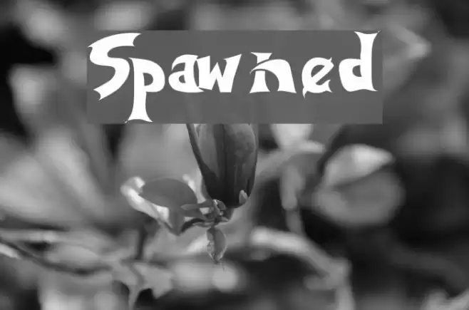 Spawned Caratteri examples