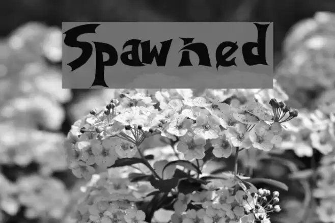 Spawned Caratteri examples