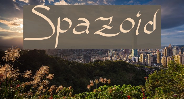 Spazoid Font examples