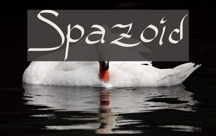 Spazoid Font examples