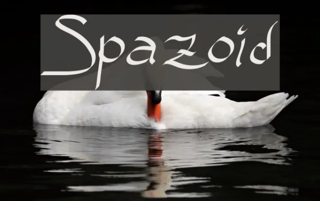 Spazoid Example 2