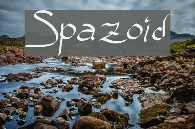 Spazoid Example 3