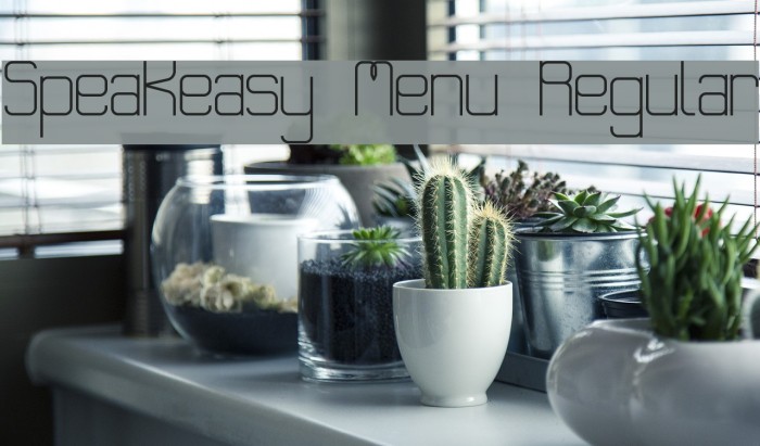 Speakeasy Menu Regular Example 1