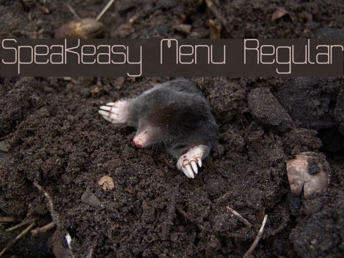 Speakeasy Menu Regular Example 2