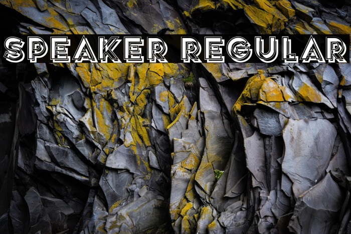 Speaker Regular Example 1