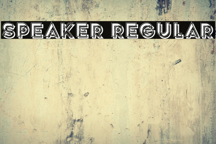 Speaker Regular Example 2