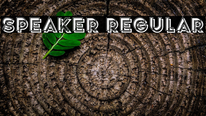 Speaker Regular Example 3