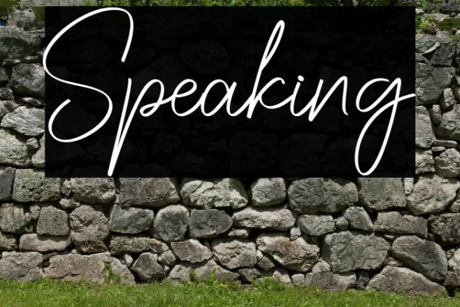 Speaking Example 1