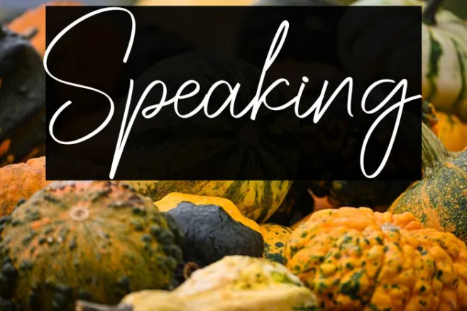 Speaking Example 2