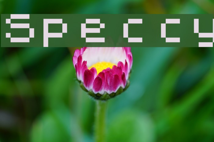 Speccy Font examples