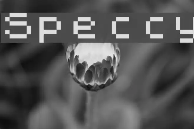 Speccy Fonte examples