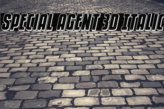 Special Agent 3D Italic Example 1