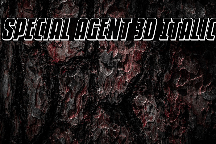 Special Agent 3D Italic Example 3