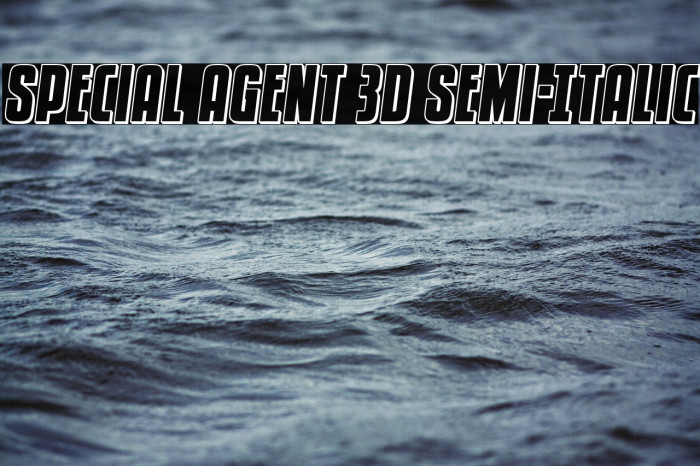 Special Agent 3D Semi-Italic Example 2