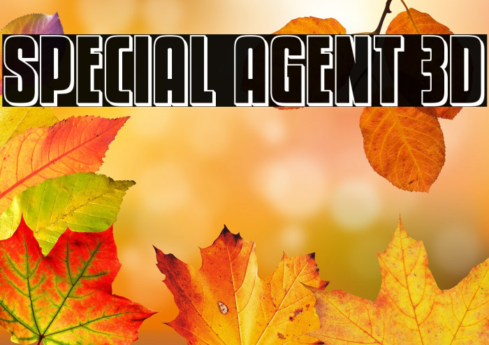 Special Agent 3D Example 2